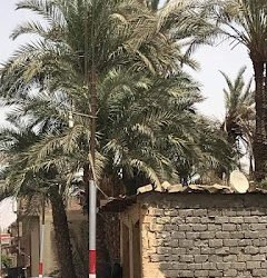 ضبط مخالفة.. بناء منازل على أرضي زراعية وتوصيل المرافق لها بقرية الخلوة باخميم فى سوهاج