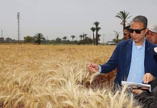 محافظ سوهاج : تخطي المستهدف من توريد القمح لصوامع وشون المحافظة