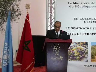 وزير الزراعة :المجلس الدولي للزيتون المحرك الرئيسي لمعالجة التحديات بقطاع الزيتون