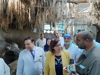 نائب وزير الزراعةتتابع حملات التحصين بمحافظة الدقهلية