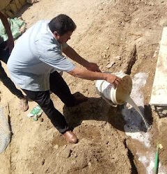 زراعه الفيوم تعلن علاج النمل الأبيض في 22منزلا بالمحافظة في اول يوليو