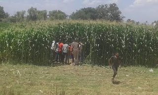 العثور على جثة شاب مذبوحا داخل أرض زراعية في البحيرة