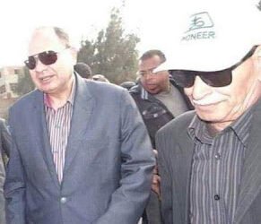 لأول مرة.. نظام جديد لتسويق أقطان محصول موسم 2019/2020 بالفيوم