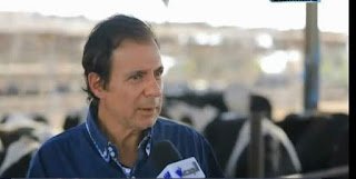 2200 رأس أبقار فى “مملكة الطوبجى” أقدم مزارع إنتاج الألبان في مصر