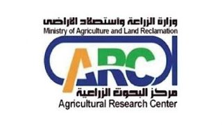 غدا.. ورشة عمل حول النهوض بنخيل البلح وصناعاته