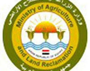 الزراعة تكثف حملاتها على منافذ بيع الأضاحي قبل العيد