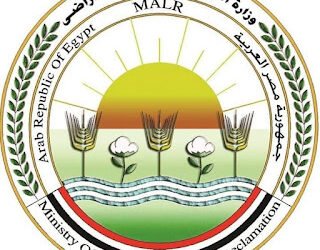 الزراعة تناشد المواطنين سرعة استيفاء المستندات لدخول مزاد  رابعة بسيناء