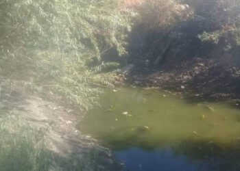 أهالي إدفا يستغيثون بمحافظ سوهاج: نقص مياه الترع يهدد محاصيلنا