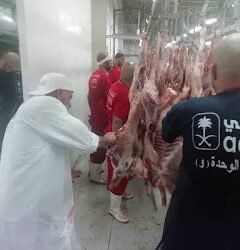 أطباء البعثة المصرية يشاركون في فحص لحوم الأضاحي بالمملكة العربية السعودية