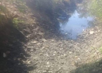 أهالي إدفا يستغيثون بمحافظ سوهاج: نقص مياه الري بالترع يهدد محاصيلنا.. (فيديو وصور)