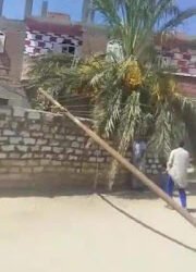 سقوط عمود كهرباء بعرب العطيات.. والأهالي يستغيثون بمحافظ سوهاج (صور)