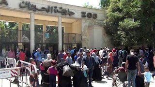 استمرار توافد المصريين على حديقة الحيوان في ثاني أيام العيد (صور)
