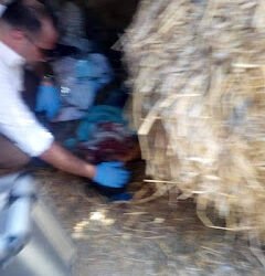 العثور على جثة طفلة مذبوحة داخل عشة بالدقهلية