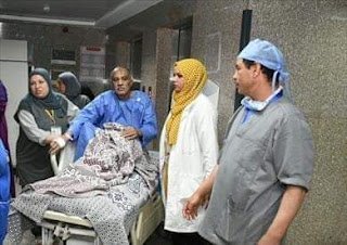 رئيس جامعة القاهرة: عودة العمل بمعهد الأورام بكامل طاقته