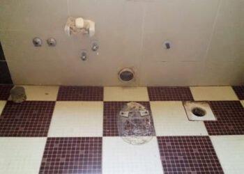 بالفيديو.. مواطنة منوفية تستغيث بالمحافظ ومدير الأمن والجهات التنفيذية