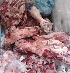 بالصور.. ضبط وإعدام لحوم فاسدة بحي غرب سوهاج