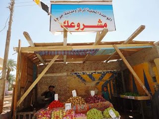 13 ألف مشروع للشباب بمليار و 361 مليون جنيه ضمن مبادرة “مشروعك”