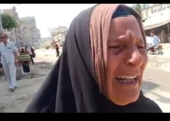 بالفيديو.. بلطجة موظف مجلس المدينة بالشرقية ضد بائعة مسنة