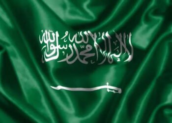المملكة في المراتب الأولى بين 54 دولة في مؤشرات المرصد العالمي لريادة الأعمال