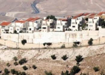 إسرائيل توسع الرقعه الاستيطانية فى غور الأردن