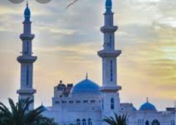 مناوشات بين الاحتلال والمواطنين فى نابلس