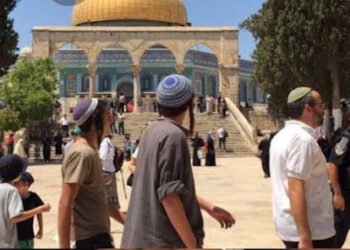 اعداد هائلة من المستوطنين يقتحمون الأقصى