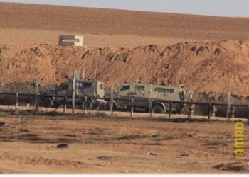 مستوطنون يقتحمون الأراضي الزراعية بفلسطين