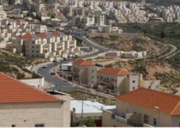 تعرف على ما قالته فرنسا بشأن الاستيطان