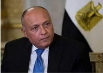 مصر تدين أعمال ميليشيا الحوثي الإرهابية ضد السعودية