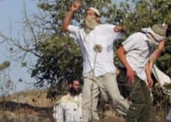 مستوطنون يقومون بسرقه الأراضي غرب منطقة سلفيت