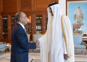 أمير دولة قطر يستقبل وزير الخارجية والهجرة وشئون المصريين بالخارج خلال زيارته الحالية إلى الدوحة