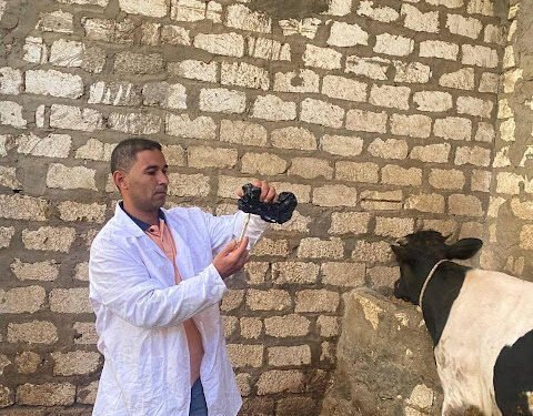 بالتزامن مع إنطلاق الحملة على مستوى الجمهورية.. ...