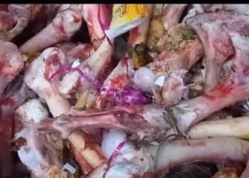 الطب البيطرى بسوهاج : لـ”الخبر المصري” العظام المعثور عليها من المواطنين لهياكل مواشى وليست كلاب