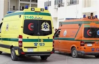 القرايب وقعوا في بعض.. إصابة 3 اشخاص في مشاجرة بسوهاج