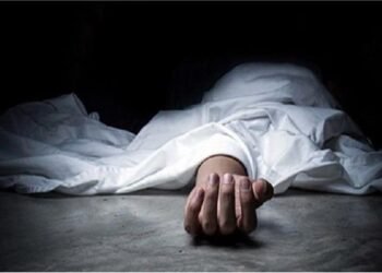 “قابيل وهابيل” يظهران في سوهاج.. شاب يقتل شقيقه لخلافات حول منزل والدهما
