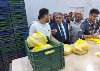 محافظ الدقهلية يقوم بجولة تفقدية ليلية لمدينة بلقاس  للوقوف على مستوى الخدمات المقدمة للمواطنين