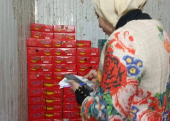 ضبط 1.6 طن لحوم وأسماك في حملات مكثفة للرقابة على المنتجات الغذائية والأسواق بالدقهلية 
