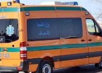 قابيل وهابيل …عامل يقتل شقيقه بسبب خلافات أسرية في طهطا بسوهاج