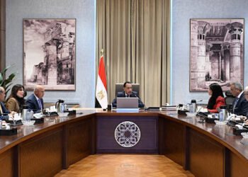 رئيس الوزراء يُتابع إجراءات إعادة هيكلة وتطوير الأداء المالي لعددٍ من الهيئات الاقتصادية التابعة لوزارة...
