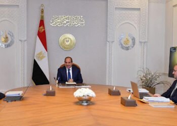 الرئيس السيسي يؤكد ضرورة مواصلة بذل الحكومة الجهود لجذب المزيد من الاستثمارات المحلية والأجنبية