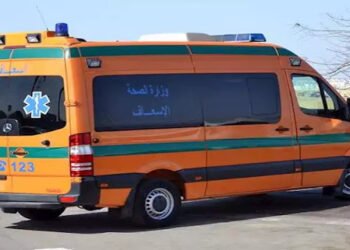 بسبب خلافات أسرية ..ربة منزل تنهي حياتها بقرص حفظ الغلال السام في سوهاج
