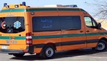 وفاة طفل بلدغة ثعبان بمركز يوسف الصديق فى الفيوم