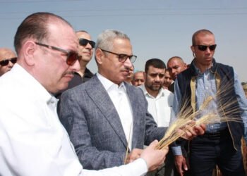 محافظ بني سويف يفتتح موسم حصاد القمح من مركز ناصر.. ويؤكد: الدولة داعمة للمزارعين وتيسيرات...
