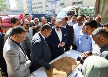 محافظ الفيوم يتفقد أعمال توريد القمح المحلي بصوامع شركة مطاحن مصر الوسطى