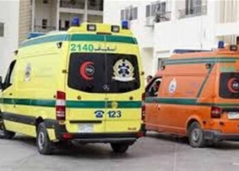 إصابة 3 أشخاص صدمتهم سيارة بطريق القاهرة – الفيوم الصحراوي