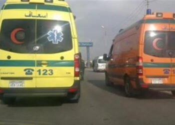 مصرع ربة منزل وإصابة ابنتها في حادث دهس على الطريق الصحراوي الغربي بالفيوم