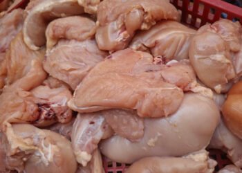 تموين الفيوم ضبط 275 كيلو دجاج غير صالحة للاستهلاك الآدمي بأحد الثلاجات قبل بيعها للمطاعم