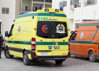 محملة بالرسيم مصرع عامل ونجله فى حادث انقلاب عربة كارو داخل ترعة في طهطا بسوهاج