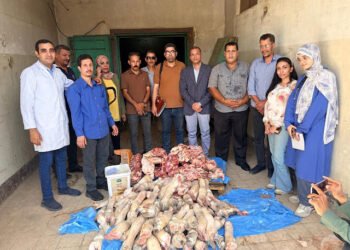ضبط 250 كيلو لحوم غير صالحة للاستهلاك الآدمي بأحد المطاعم بسوهاج