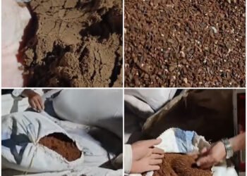 تموين الفيوم: ضبط سيارة محملة بـ 630 كيلو بن مغشوش من نوى بلح مطحون ومعبأ...